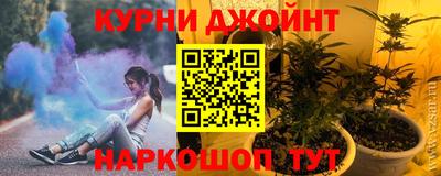 сатива Волгодонск