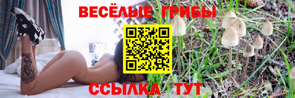 Галлюциногенные грибы ЛСД Боровичи