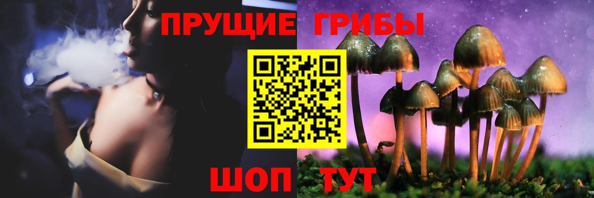 Боровичи  магазин  наркотиков  Вход с VPN  Галлюциногенные грибы мицелий 